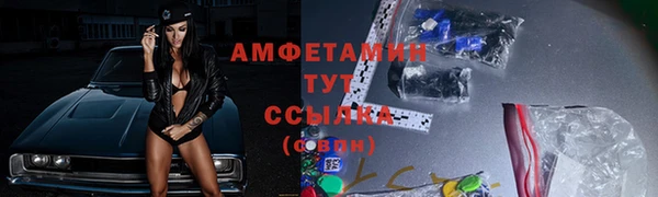 молекула духа Горняк