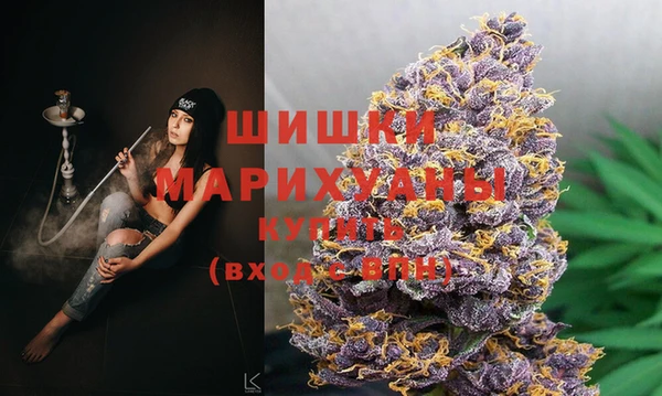 a pvp Гусев