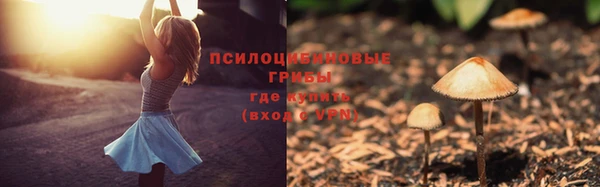 молекула духа Горняк