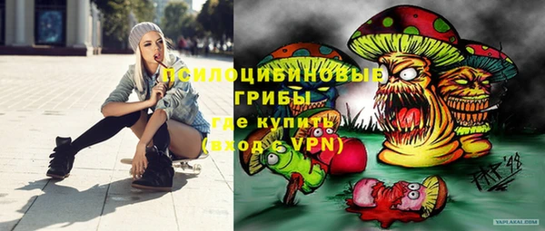 круглые Горно-Алтайск