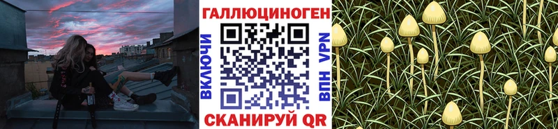 Купить закладки  Ливны  Псилоцибиновые грибы ЛСД 
